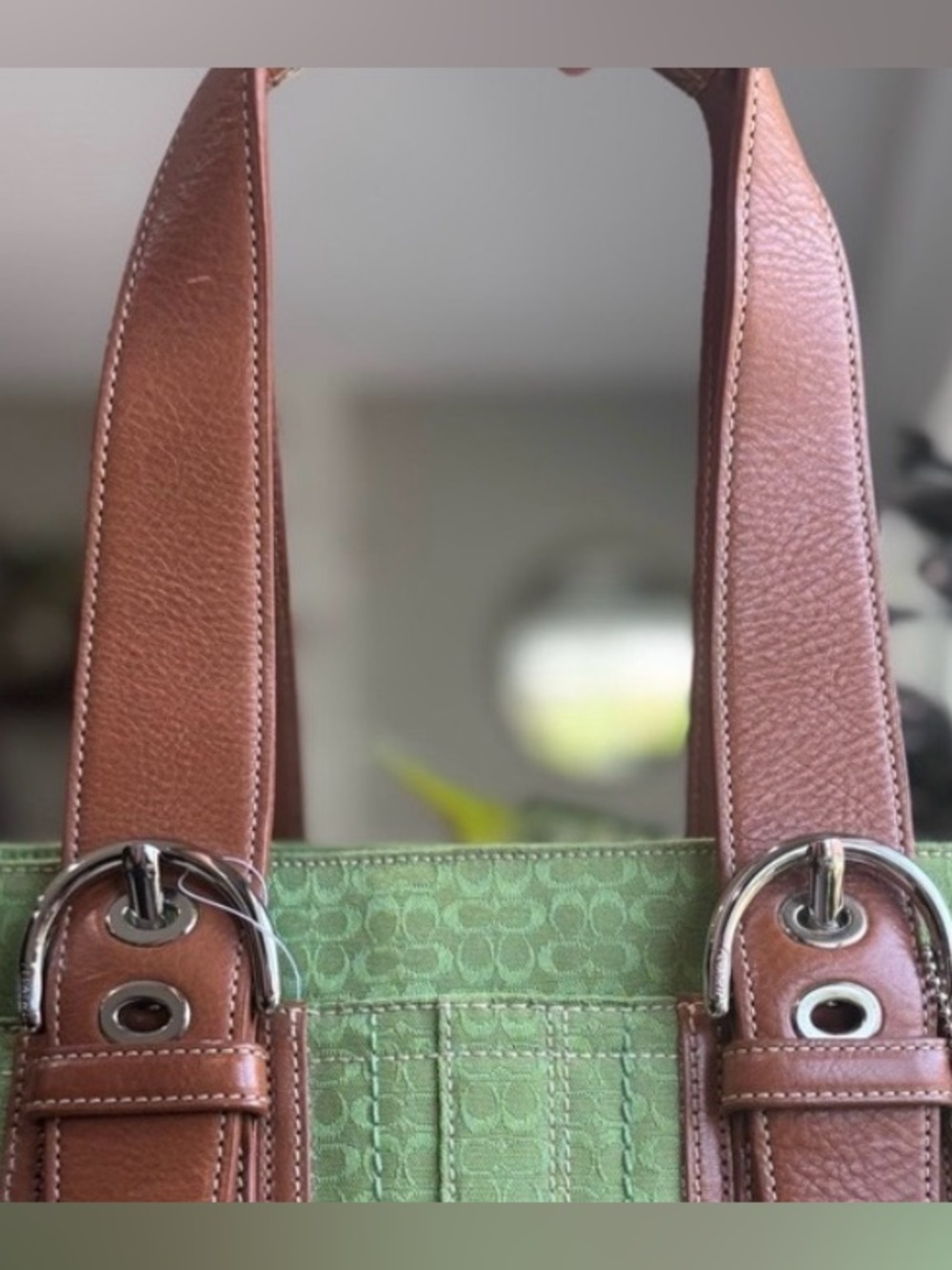 Coach Signature & Suede Green Satchel + 🍉 Coach Watermelon Coin Purse + 💯 Scarf - Picture 11 of 12